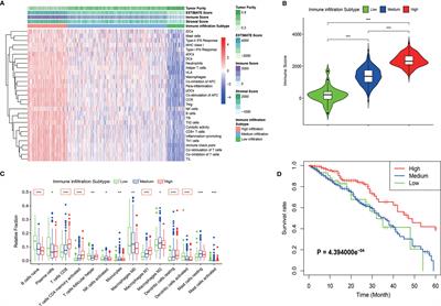 Screening and Identification of Four Prognostic Genes Related to Immune Infiltration and G-Protein Coupled Receptors Pathway in Lung Adenocarcinoma